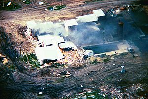 Mountcarmelfire04-19-93-l.jpg